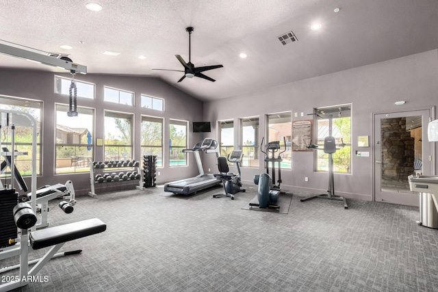 20801 N 90th Pl Unit 210, Scottsdale, AZ 85255 - gym with carpet floors, ceiling fan, vaulted ceiling, and a healthy amount of sunlight