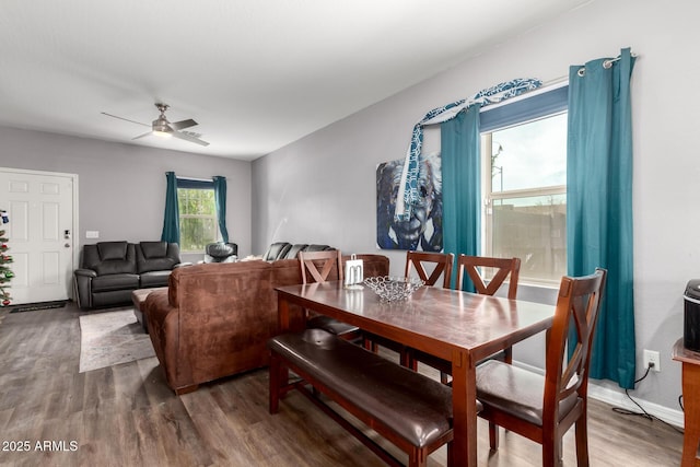 dining room featuring ceiling fan and wood finished floors