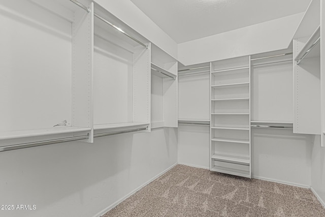 408 N Falcon Ct, Gilbert, AZ 85234 - spacious closet with carpet