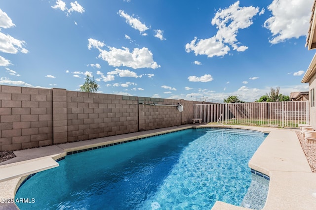 408 N Falcon Ct, Gilbert, AZ 85234 - view of swimming pool featuring a fenced in pool and a fenced backyard