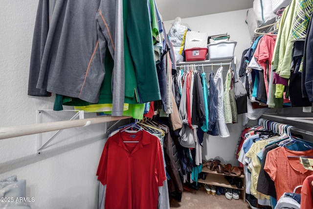 spacious closet with carpet floors