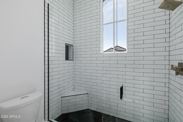 24905 S 206th Pl, Queen Creek, AZ 85142 - full bathroom featuring a shower stall and toilet