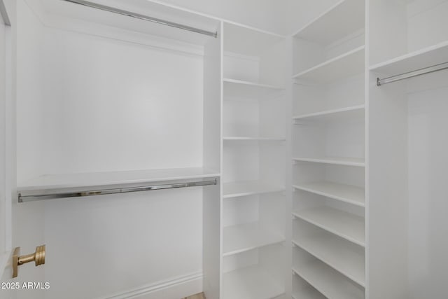 24905 S 206th Pl, Queen Creek, AZ 85142 - view of walk in closet