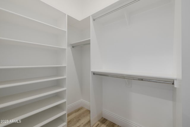 24905 S 206th Pl, Queen Creek, AZ 85142 - spacious closet with light wood-type flooring