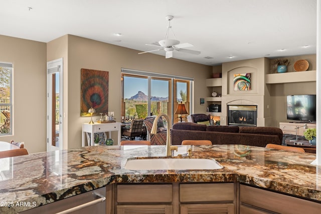 kitchen with stainless steel dishwasher, a wealth of natural light, ceiling fan, and sink