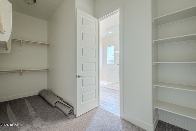 spacious closet with carpet flooring