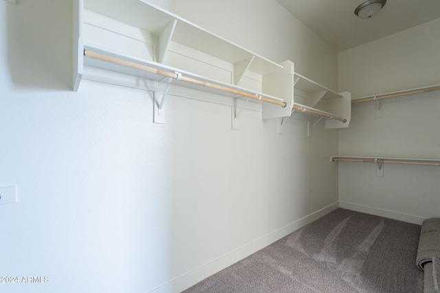 spacious closet featuring carpet floors