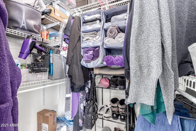 view of spacious closet