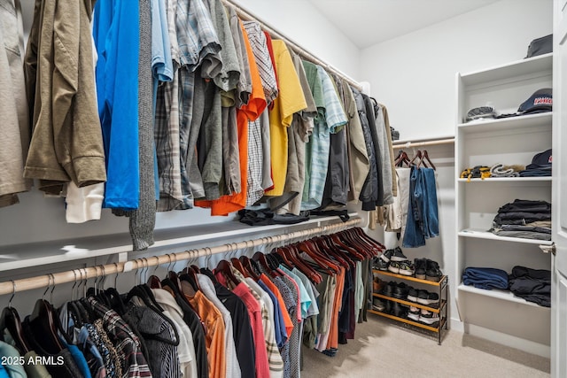 walk in closet featuring light carpet