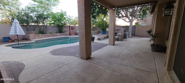 view of pool with a patio, a fenced backyard, and a fenced in pool