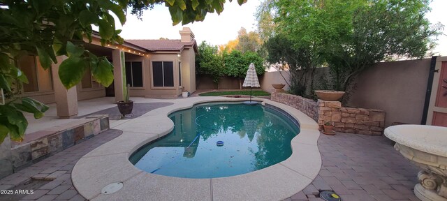 view of swimming pool featuring a patio area, a fenced backyard, and a fenced in pool