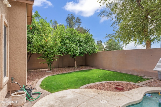 view of yard featuring a patio and a fenced backyard