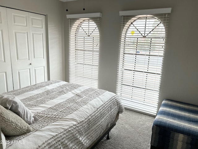 bedroom featuring carpet flooring and a closet