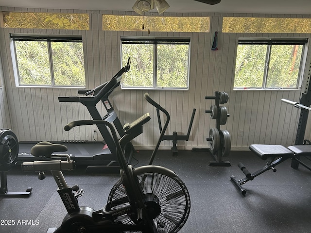 exercise area with plenty of natural light