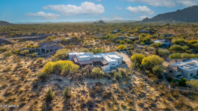 birds eye view of property featuring a mountain view