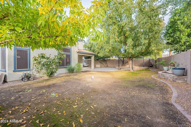 view of yard featuring a patio area