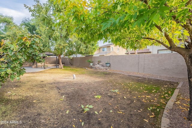 view of yard with a patio area