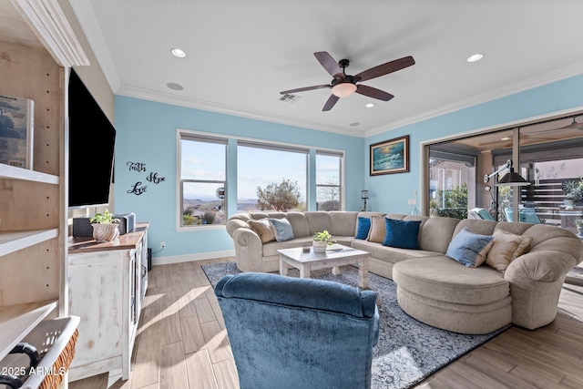 living room featuring ornamental molding, ceiling fan, and light wood-type flooring