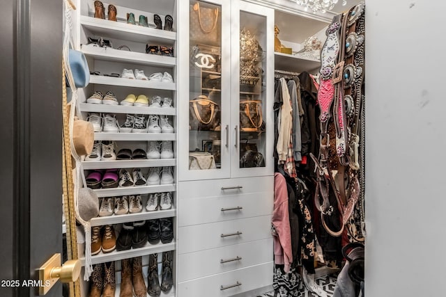 view of walk in closet