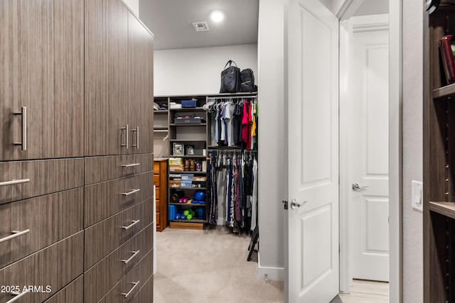 16134 E Ridgestone Dr, Fountain Hills, AZ 85268 - walk in closet with light carpet