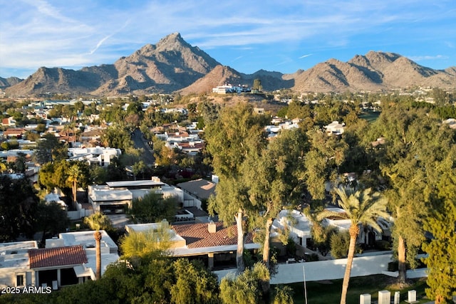 view of mountain feature