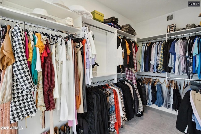 7180 E Kierland Blvd Unit 916, Scottsdale, AZ 85254 - walk in closet with carpet flooring
