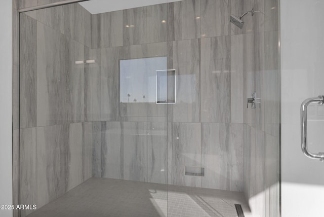 bathroom featuring a shower with door