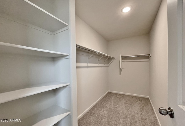 walk in closet with carpet floors