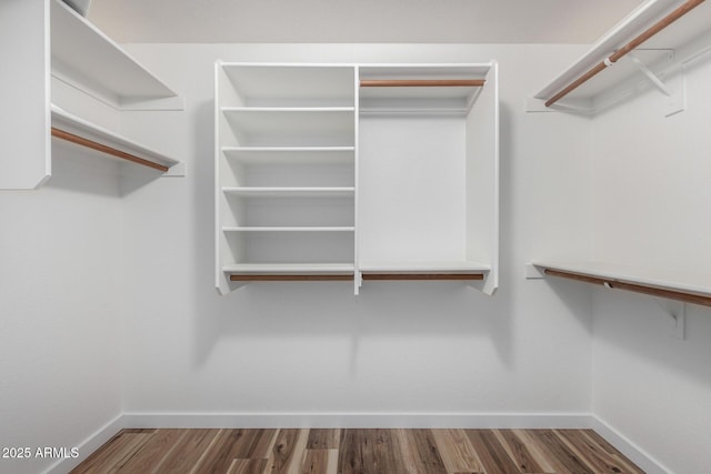 walk in closet featuring wood finished floors