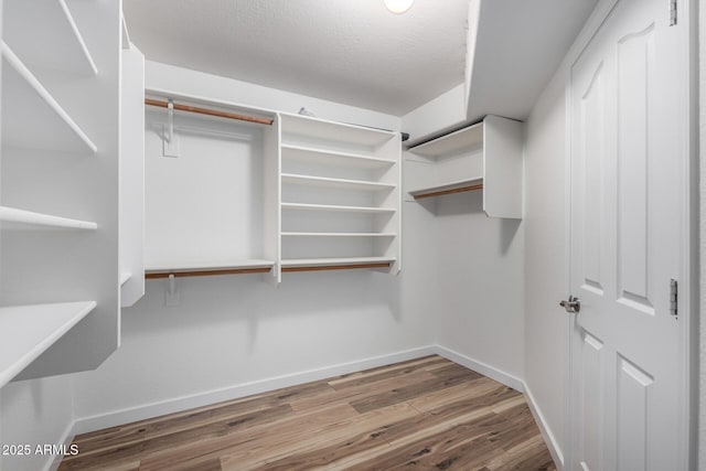 walk in closet featuring wood finished floors