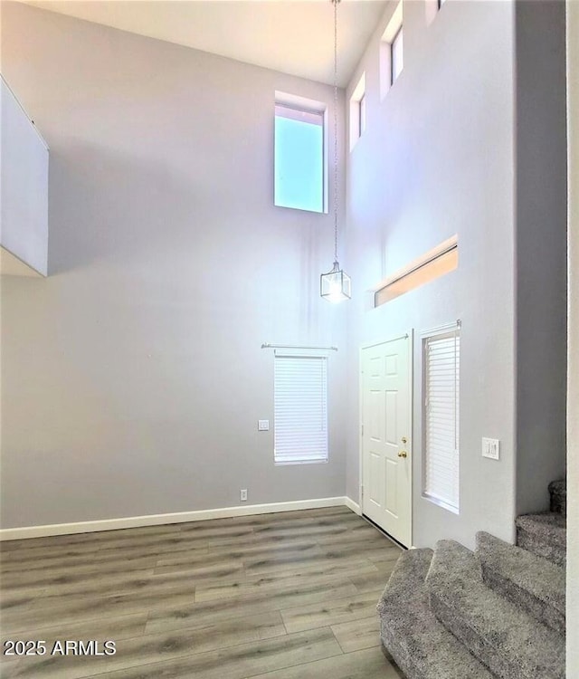 foyer with a high ceiling and hardwood / wood-style flooring