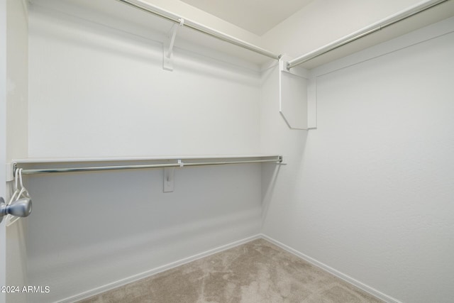 spacious closet featuring light colored carpet