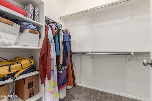 spacious closet with carpet flooring