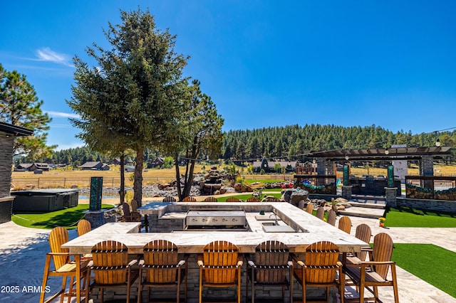 view of patio featuring area for grilling and exterior bar