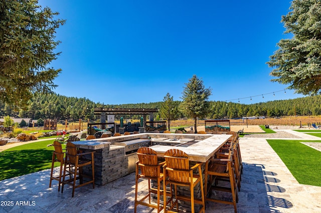 view of patio featuring area for grilling and an outdoor bar