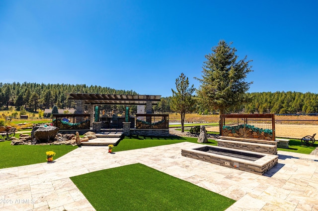 view of yard featuring a patio area