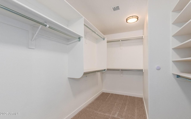 20929 N 37th Way, Phoenix, AZ 85050 - spacious closet with carpet floors