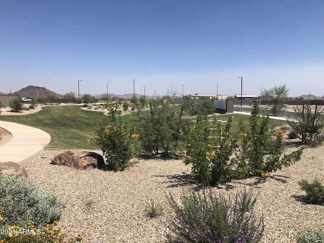 view of property's community with a mountain view and a yard