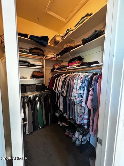 1350 S Greenfield Rd Unit 1219, Mesa, AZ 85206 - spacious closet with attic access
