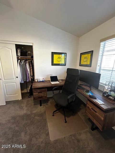 1350 S Greenfield Rd Unit 1219, Mesa, AZ 85206 - office area with vaulted ceiling and carpet flooring