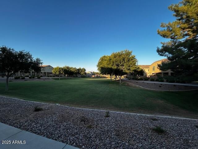 1350 S Greenfield Rd Unit 1219, Mesa, AZ 85206 - view of green lawn