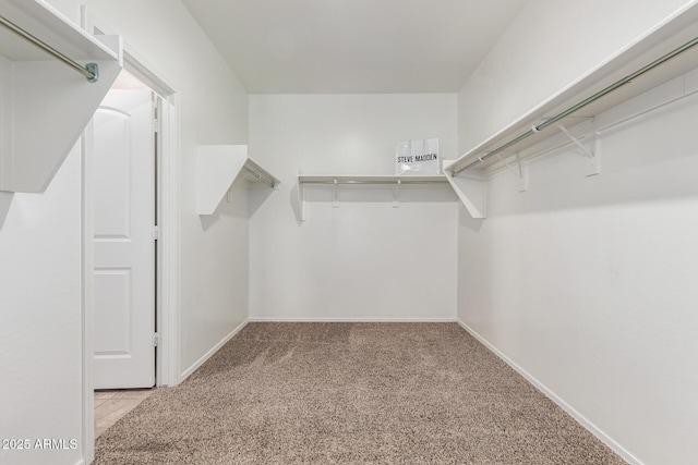 spacious closet featuring light carpet