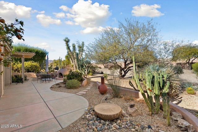 view of yard featuring a patio