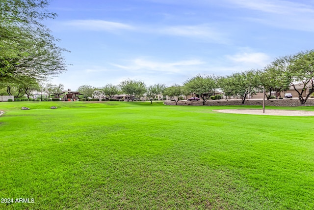 view of community featuring a lawn