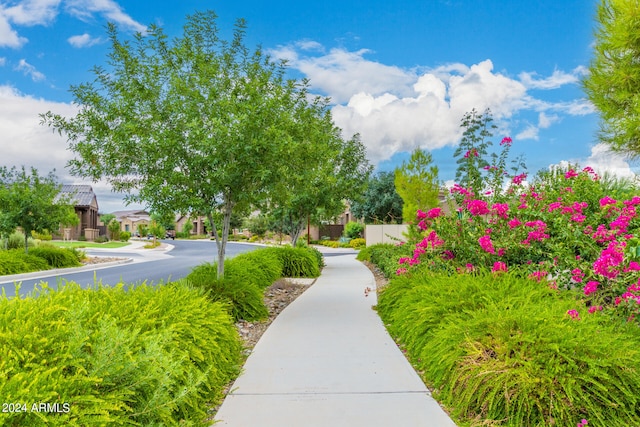 view of home's community