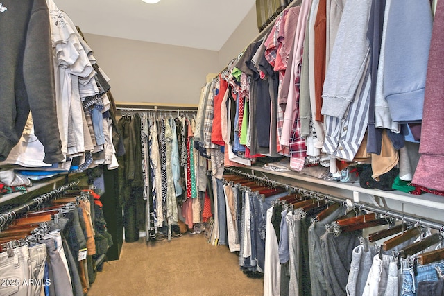 view of walk in closet