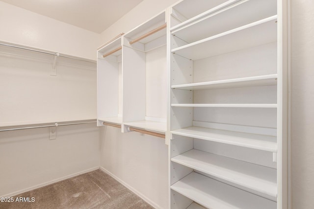 walk in closet featuring carpet flooring