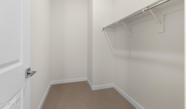 walk in closet featuring light colored carpet