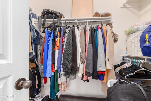 view of spacious closet