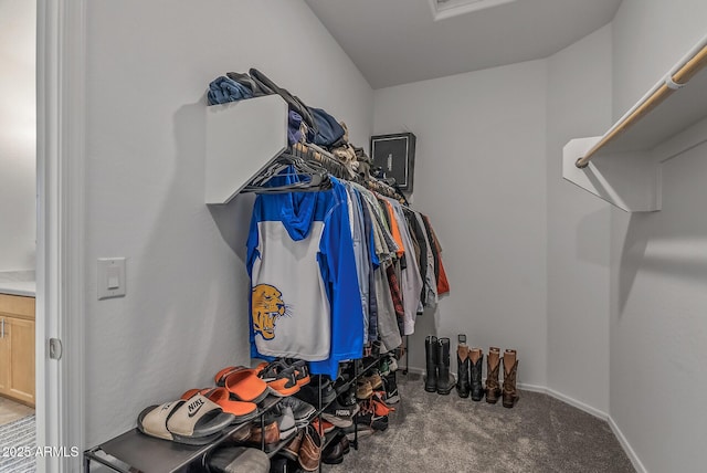 spacious closet featuring carpet